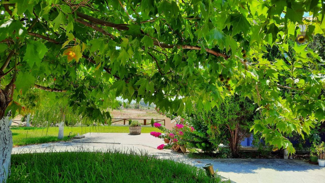 Alekos Beach Houses-Angelo Lixouri Exterior foto